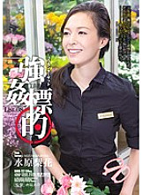 SHKD-727 DVD封面图片 