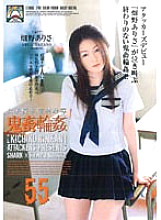 SHKD-240 DVD封面图片 