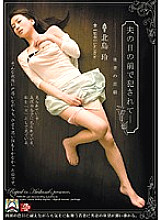 SHKD-336 DVD封面图片 
