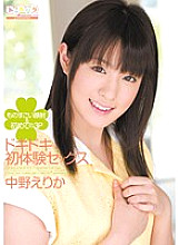 SPS-041 DVD封面图片 
