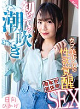 SQTE-498 DVD封面图片 