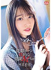 SSIS-839 DVD Cover
