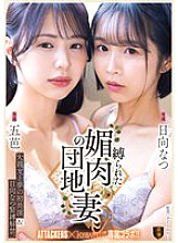 SSPD-176 DVD封面图片 