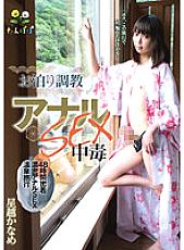TANP-004 DVD Cover
