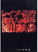 VHQV-001 DVDカバー画像