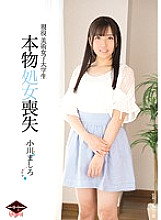 VICD-390 DVD封面图片 