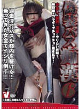 VICD-050 DVD封面图片 