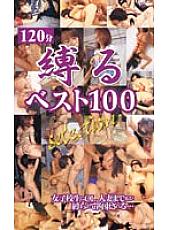 VPV-010 DVDカバー画像