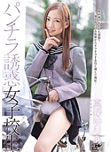 WANZ-291 DVDカバー画像