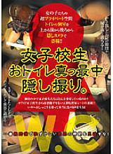 WGVL-001 DVD Cover