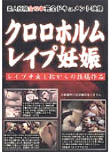 WJJV-001 DVD封面图片 