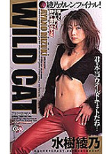 XC-01199 Sampul DVD