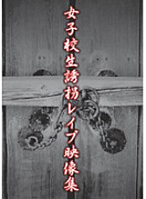 XTZL-001 DVDカバー画像