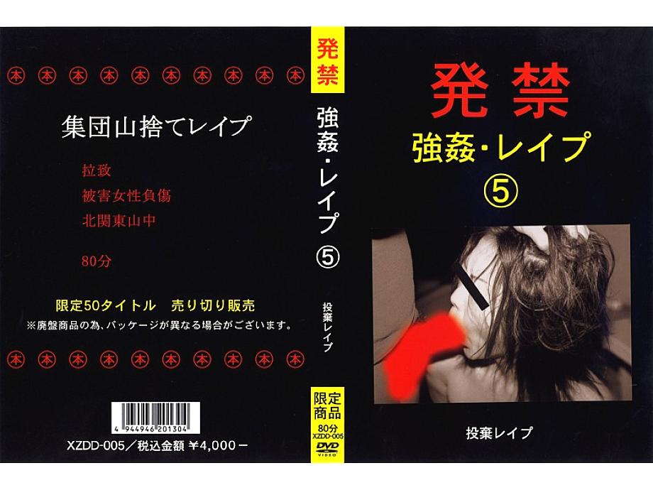 XZDD-005 DVD封面图片 