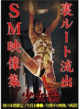 YLJL-001 DVD封面图片 