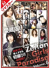 ZET-017 DVD Cover