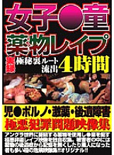 ZFSL-001 DVDカバー画像