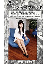 HW-03 DVDカバー画像