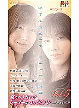 WSL-05 DVD Cover
