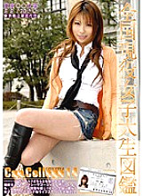 EVO-027 DVDカバー画像