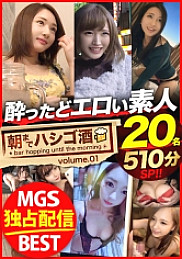 GWHASI-001 DVDカバー画像