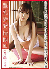 HJO-009 DVD封面图片 