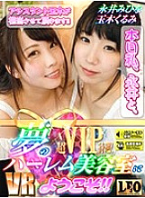 LEOVR-001 DVD封面图片 