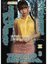 UMD-979 DVDカバー画像