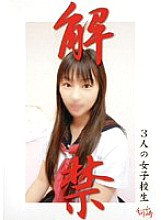FTA-019 DVD Cover