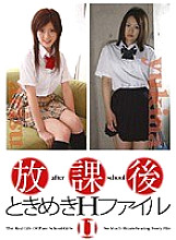 HOKG-011 DVD Cover