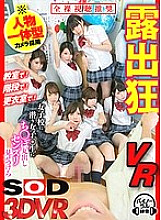 DSVR-316 DVD Cover
