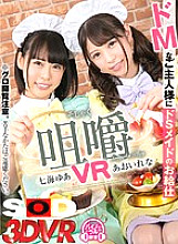DSVR-438 DVD Cover
