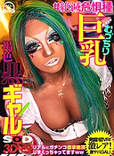DSVR-669 DVD封面图片 