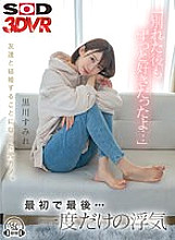 DSVR-01135 DVD Cover