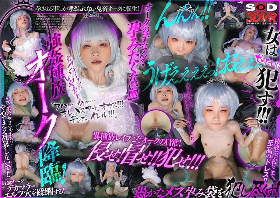DSVR-01341 DVDカバー画像