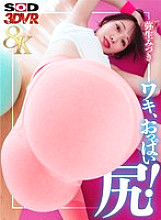 DSVR-01588 DVD Cover