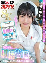 DSVR-01617 DVD Cover