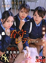 DSVR-01806 Sampul DVD