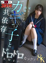 DSVR-01832 Sampul DVD