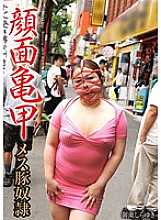 MGQ-004 DVDカバー画像