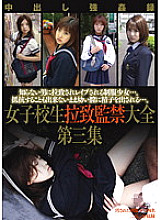 M-1731 Sampul DVD