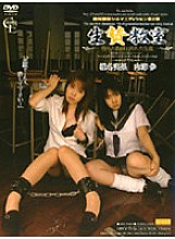 M-266 Sampul DVD