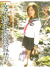 M-333 Sampul DVD