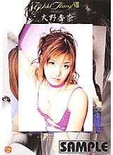 WI-38 Sampul DVD