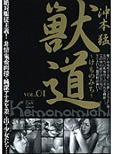 DZSD-01 DVD封面图片 