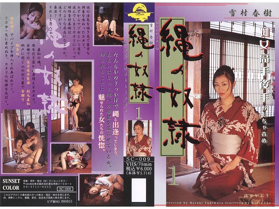 SC-009 DVD Cover