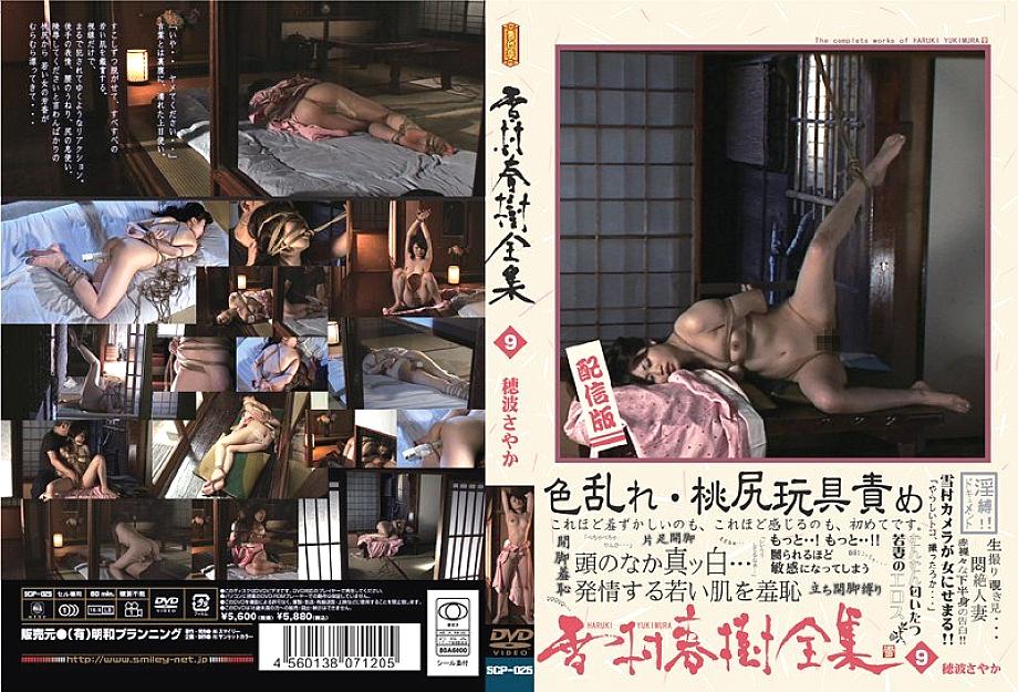 SCP-026 DVD Cover