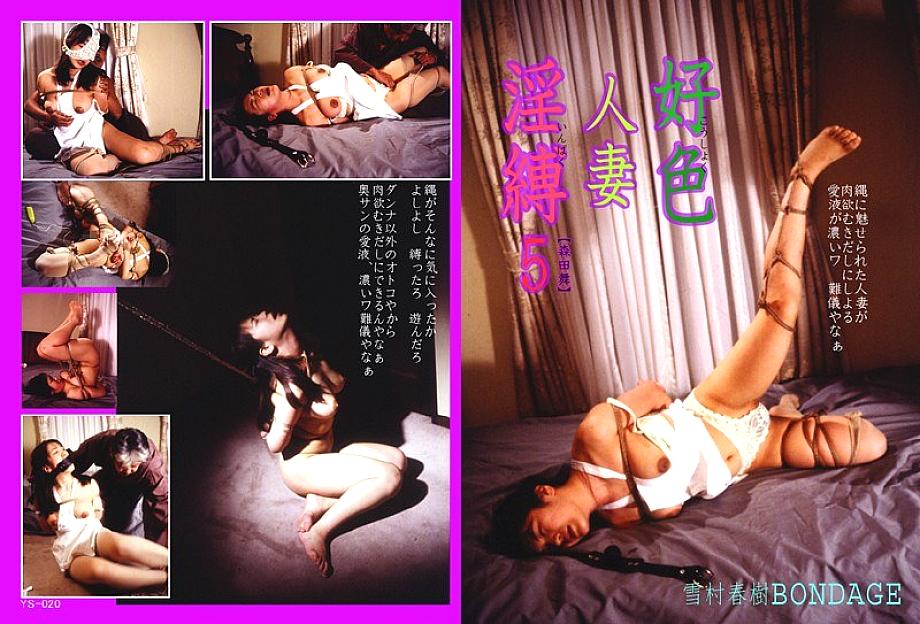 YS-020 DVD封面图片 