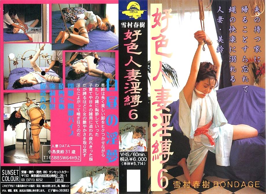 YS-036 DVD Cover