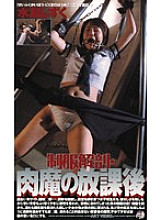_-2339 DVD封面图片 